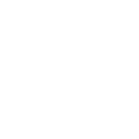 internet globe icon